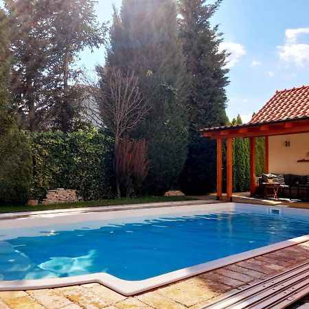 Canadian Style House With 3D Effect Pool Vinosady Kültér fotó