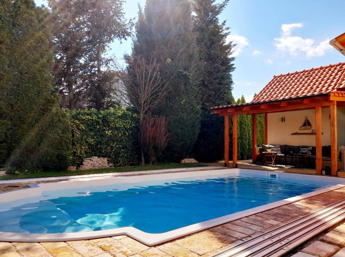 Canadian Style House With 3D Effect Pool Vinosady Kültér fotó