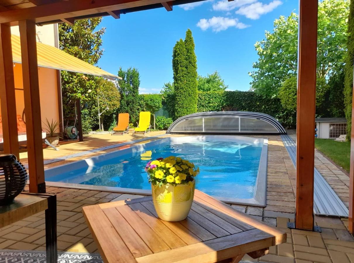 Canadian Style House With 3D Effect Pool Vinosady Kültér fotó