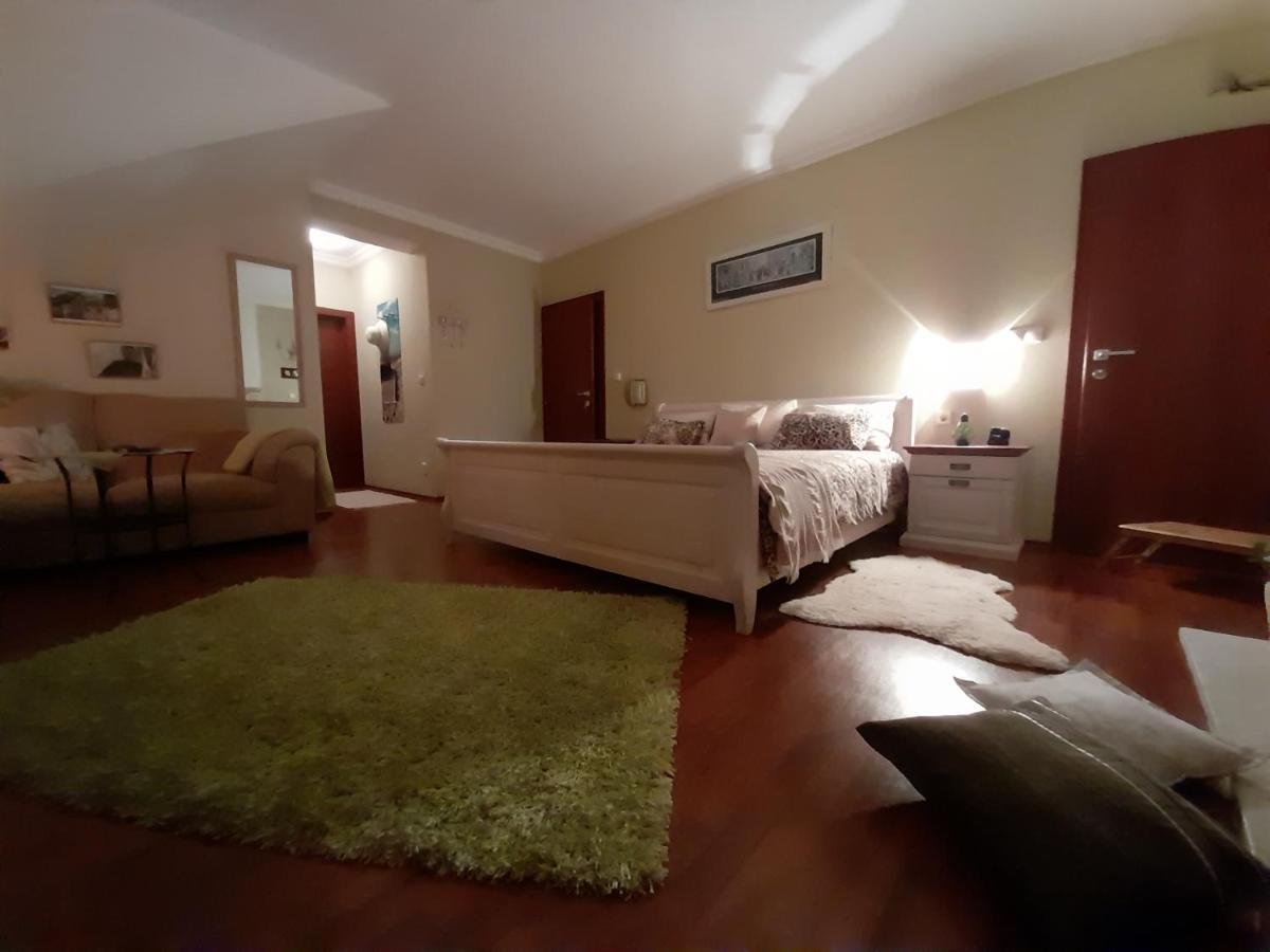 Canadian Style House With 3D Effect Pool Vinosady Kültér fotó
